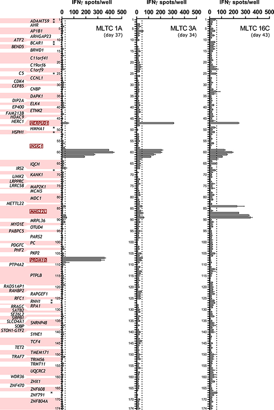 Peptide recognition by autologous MLTC responder populations.