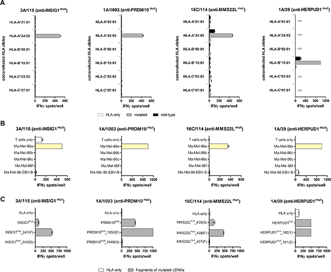 Characterization of neoantigen recognition.