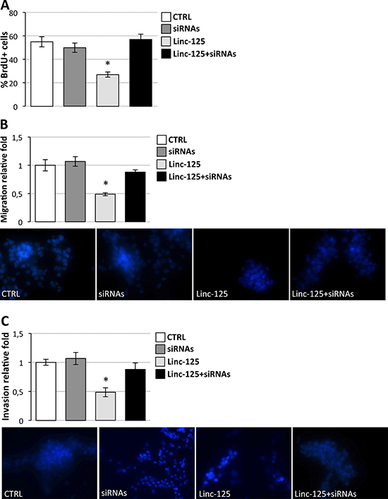 Effects of driver gene downregulation and linc-NeD125 overexpression on D283 Med cell properties.