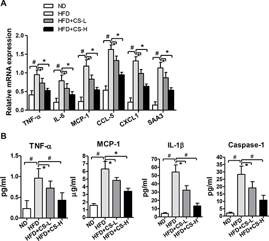 CS treatment inhibits high fat diet-induced inflammation in adipose tissue.