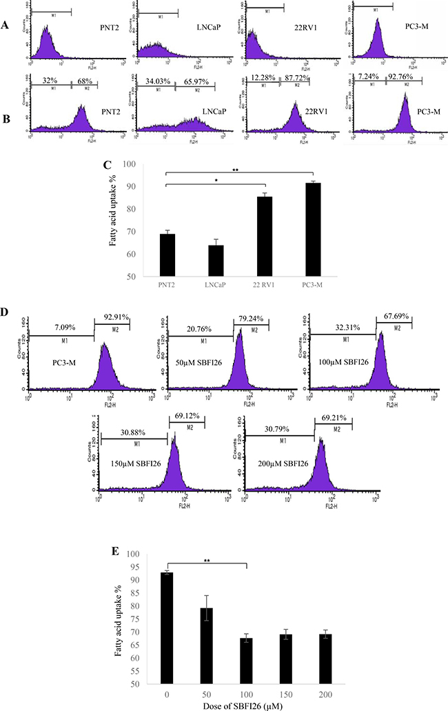 Fatty acid uptake of different prostate epithelial cell lines and inhibitory effect of SBFI26 in PC3-M cells.