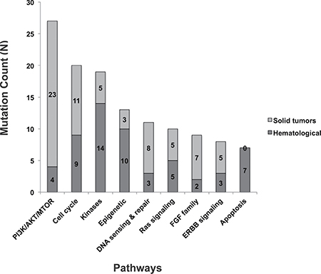 Functional pathways with therapeutically targetable actionable mutations identified by GTB.