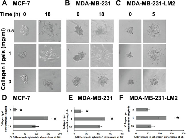 Cancer cell spheroids invasion through collagen gels is increased at medium stiffness and decreased at high stiffness conditions.