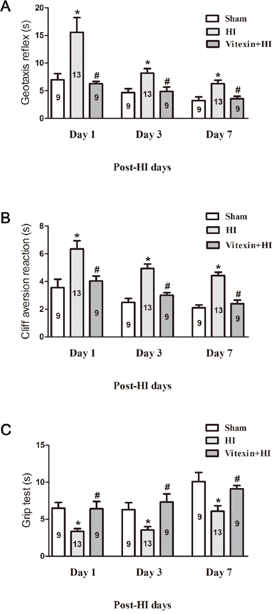 Vitexin pretreatment improves neurobehavioral performance after cerebral HI.