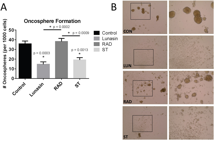 Lunasin&#x2019;s RGD motif is essential for disrupting oncosphere formation.