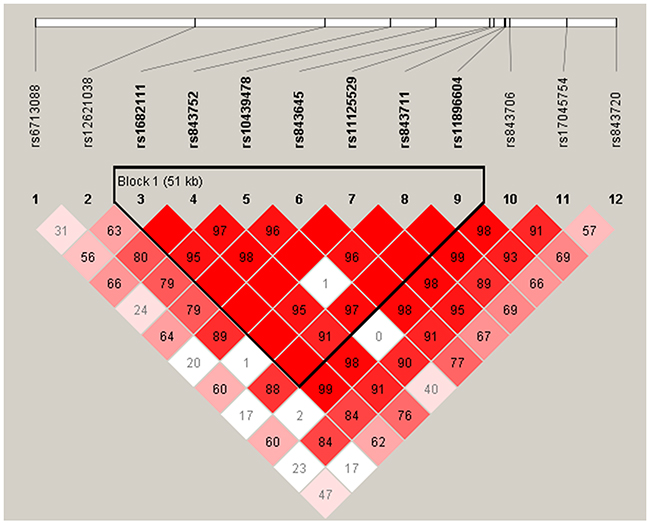 Haplotype block map for all the SNPs of the ACYP2 gene.