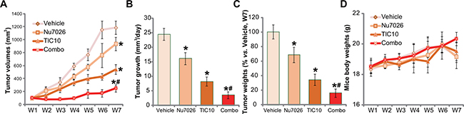 Nu7026 facilitates TIC10-induced anti-HepG2 tumor activity in vivo.