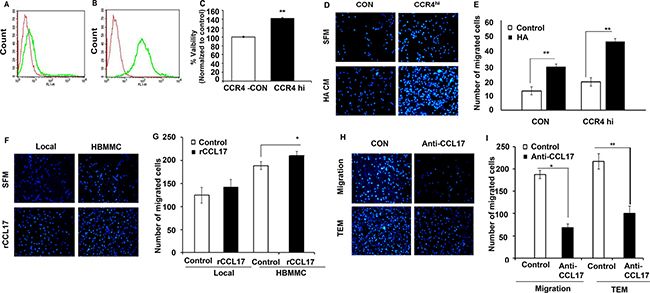 CCR4 ligands secreted by human stromal brain cells induce melanoma cell migration.