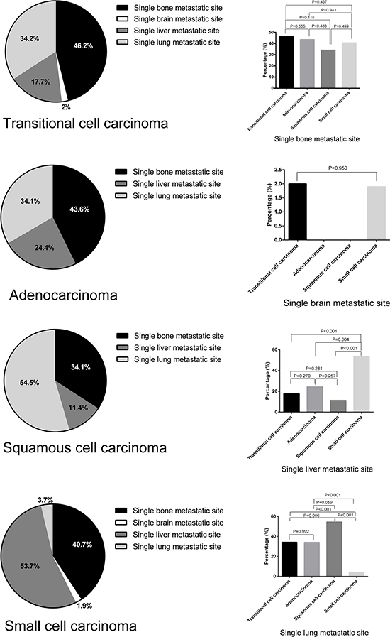 Metastatic frequency in patients with single-site metastatic bladder cancer by histological subtype.