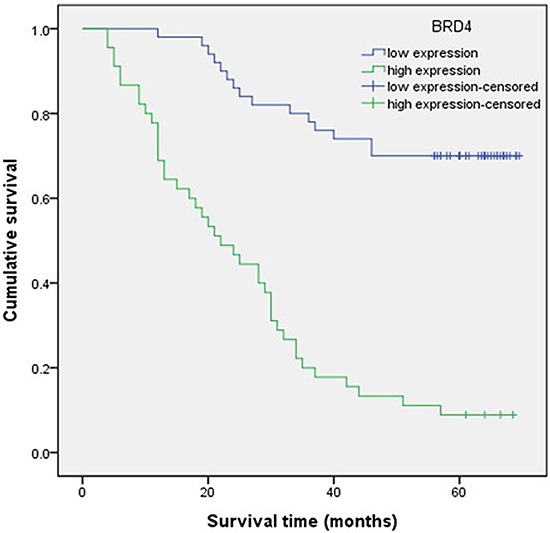 Survival analysis of patients with gastric carcinoma by the Kaplan&#x2013;Meier method.