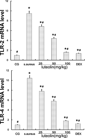 TLR-2 and TLR-4 expression in tissues.
