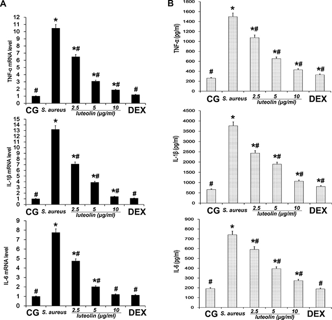 Effects of luteolin on cytokine expression in mammary epithelial cell.