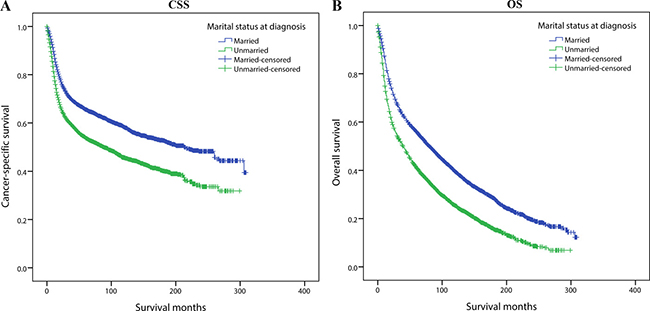 Kaplan-Meier survival curves:cancer-specific survival and overall survival in 11022 OCSCC patients.
