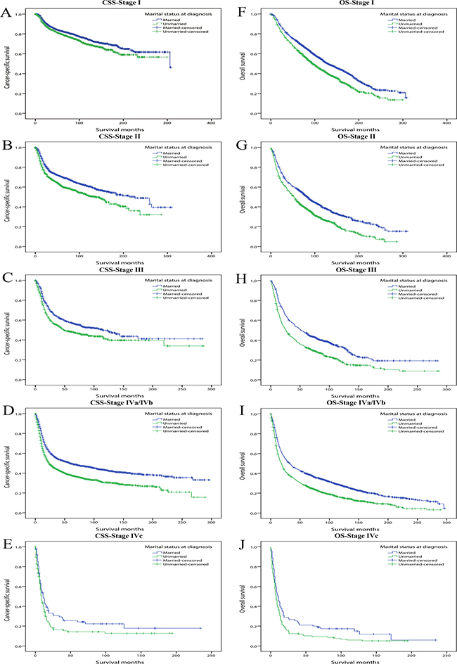 Kaplan-Meier survival curves: cancer-specific survival and overall survival in 11022 OCSCC patients according to TNM stage at diagnosis.