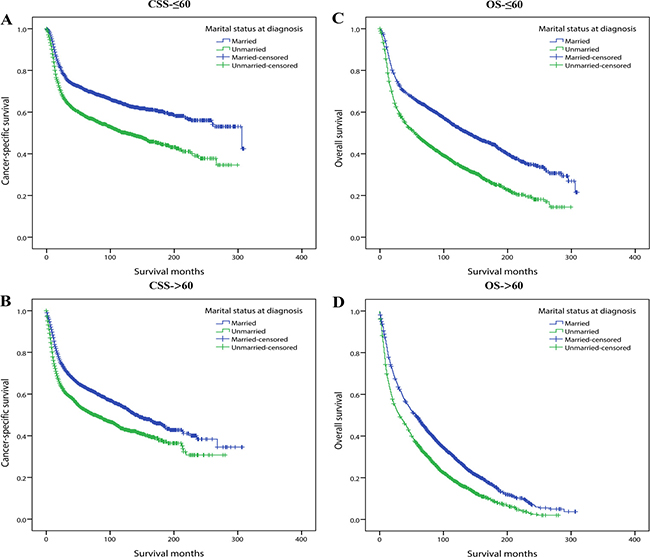 Kaplan-Meier survival curves: cancer-specific survival and overall survival in 11022 OCSCC patients according to &#x2264; 60 and &#x003E;60 binary age subgroups.