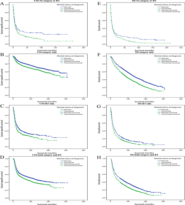 Kaplan-Meier survival curves: cancer-specific survival and overall survival in 11022 OCSCC patients according to treatment.