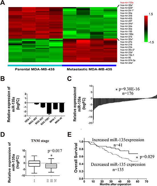 Tumor metastasis related miR-135a is downregulated in gastric cancer cell lines and tissues.