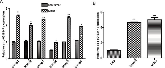 The expression levels of circ-0016347 are elevated in osteosarcoma.