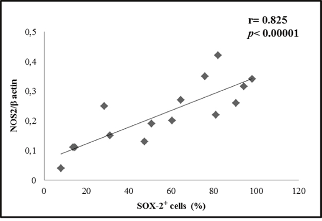 Correlation between NOS2 and SOX-2.