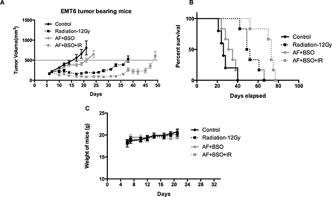 AF combined with BSO enhanced the radioresponse of EMT6 tumor in Balb/c mice.