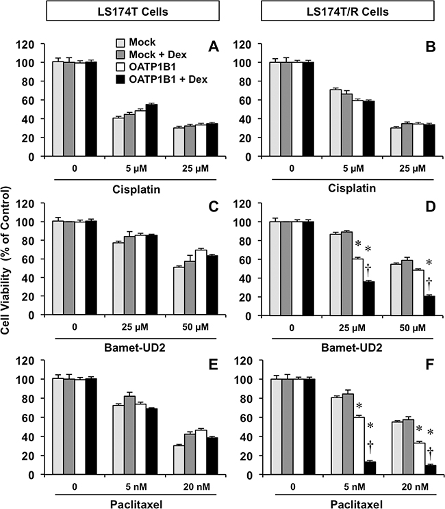 Figure 5: