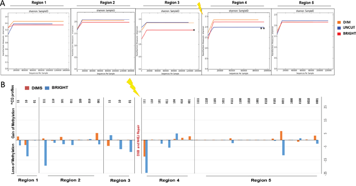 Regions adjacent to DSB give discriminate REC from UNCUT and BRIGHT from DIMS.