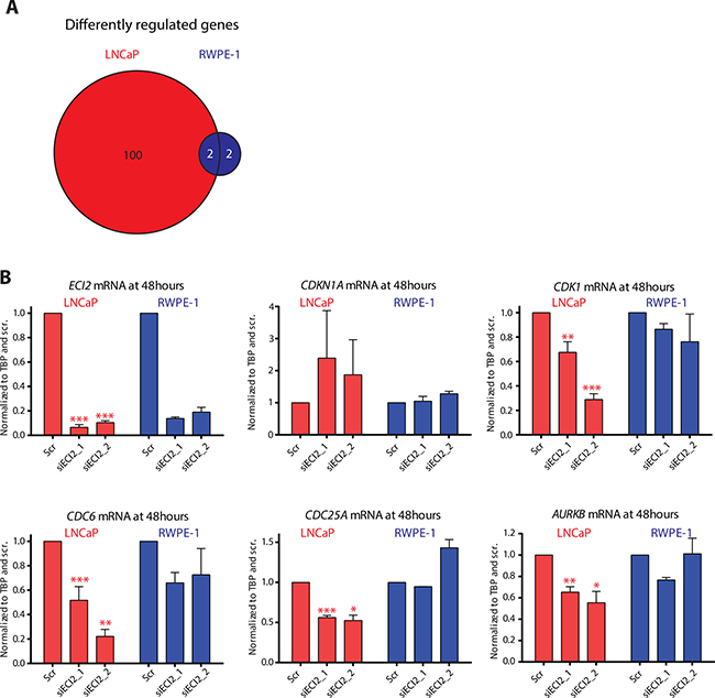 RNA-seq after ECI2 knockdown in LNCaP and RWPE-1 cells.