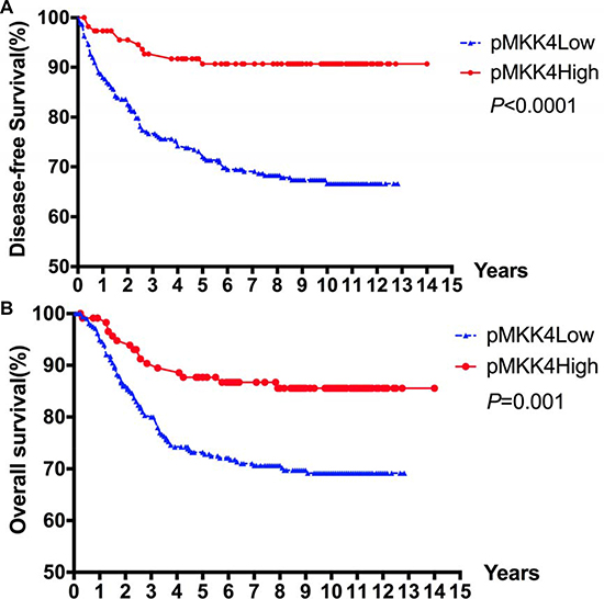 Kaplan&#x2013;Meier survival curves for DFS.