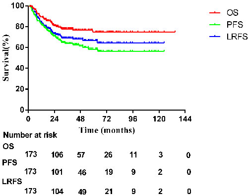 Survival curves for all patients.