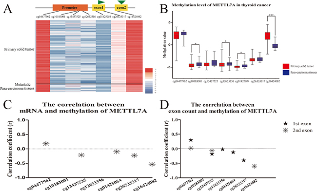 DNA methylation level of METTL7A in thyroid cancers in vivo.