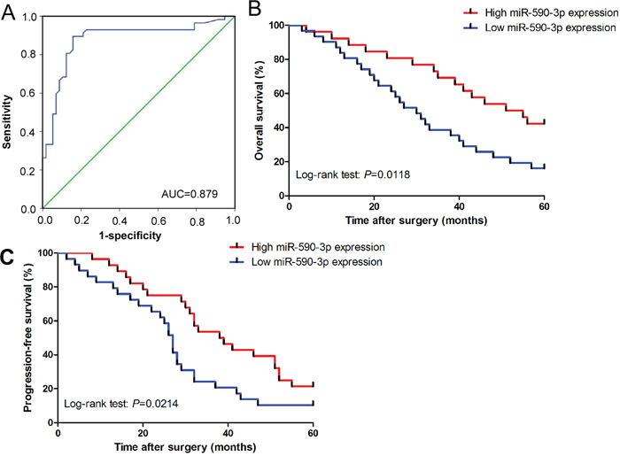 Diagnostic and prognostic role of serum miR-590-3p in ICC patients.