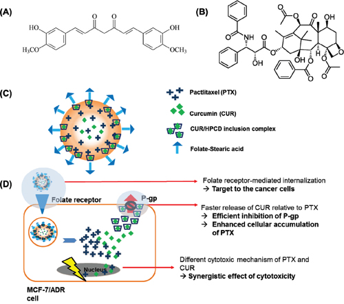 The structure of curcumin (A) and paclitaxel (B).