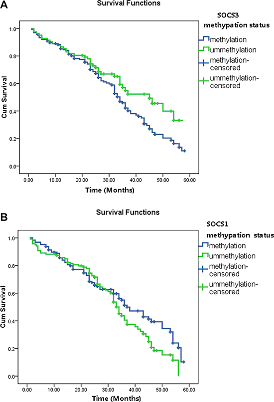 The overall survival (OS) status in HCC patients based on tumor SOCS1 and SOCS3 methylation status.