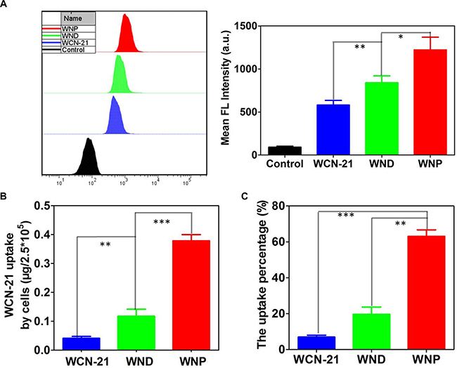 Intracellular uptake and accumulation of WCN-21.