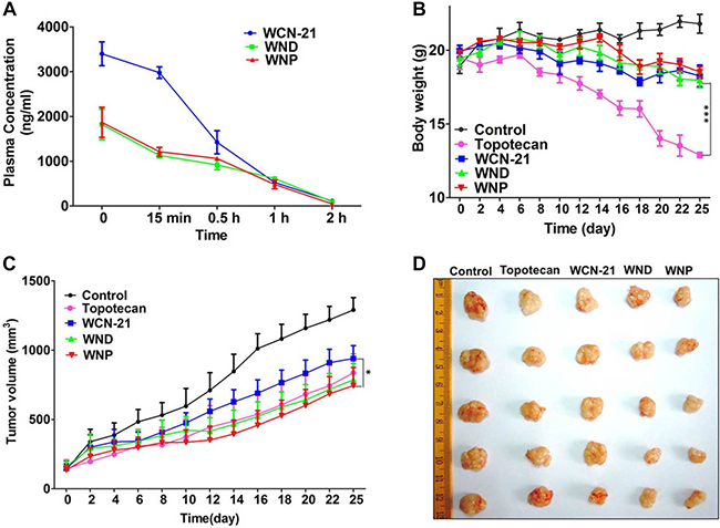 The pharmacokinetic analysis of WCN-21 in mouse plasma in Kunming mice and anti-tumor effects of WCN-21, WND and WNP in xenograft mouse model.