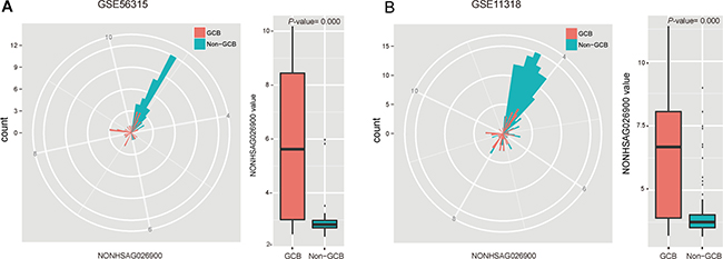 Analysis of the predictive power of NONHSAG026900 from the distribution of its expression values.