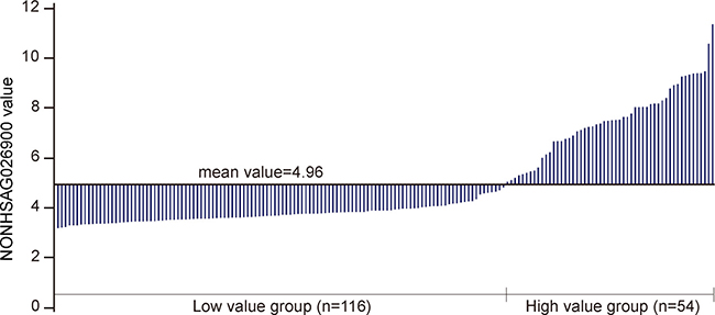 Divide the NONHSAG026900 lncRNA levels into two groups.