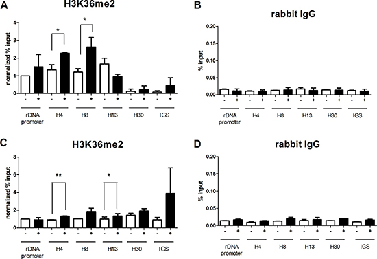JHDM1B KD causes a modulation of the H3K36me2 mark at the rDNA level.