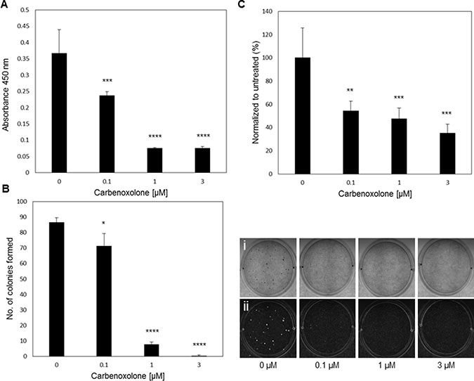 Carbenoxolone increases cells susceptibility to anoikis, and reduces adhesion and colony formation.