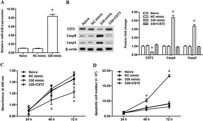 Overexpression of miR-338 attenuated the proliferation and increased the apoptosis of esophageal cancer cells.