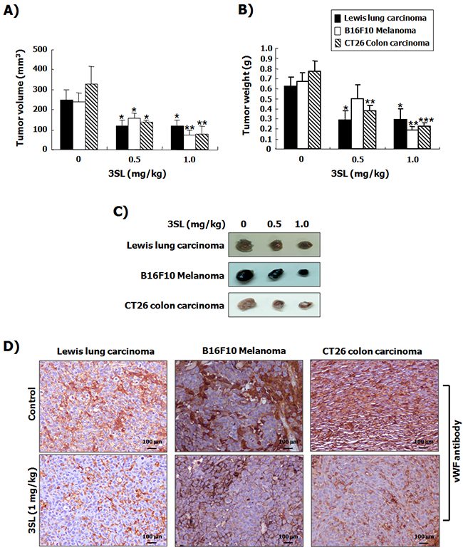 Suppression of tumor growth by sialyllactose in tumor-bearing mice.