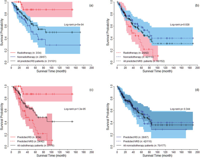 The survival curves under radiotherapy and nonradiotherapy for both predicted radiosensitive (RS) and nonradiosensitive (NRS) patients.