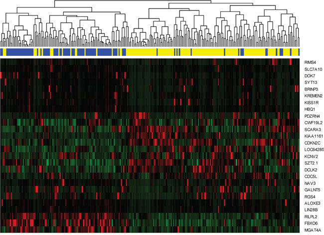 Hierarchical clustering analysis.