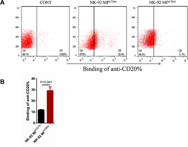 Antibody-binding capacity of CD16-BB-&#x03B6; and CD64-BB-&#x03B6; receptors in NK-92MI cells.