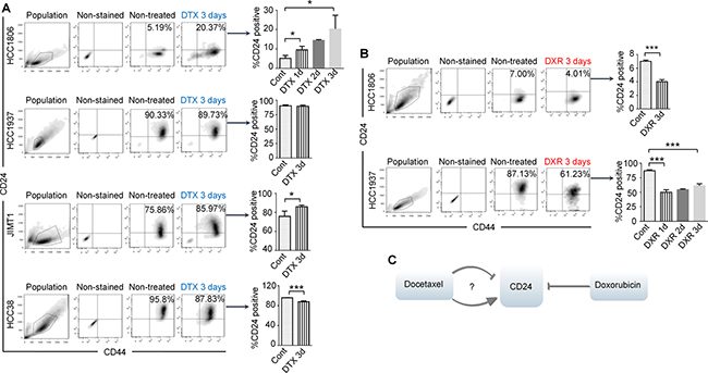 Docetaxel (DTX) induces CD24+/high to CD24&#x2212;/low, or CD24&#x2212;/low to CD24+/high transitions or no change of CD24 expression in BC cell lines, while doxorubicin (DXR) only induces CD24+/high to CD24&#x2212;/low transitions.