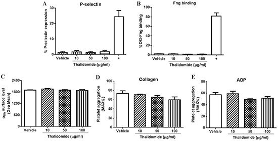 The effect of thalidomide on mouse platelets in vitro.