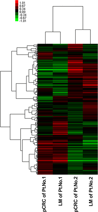 Unsupervised hierarchical cluster analysis of the 528 differentially expressed miRNAs.