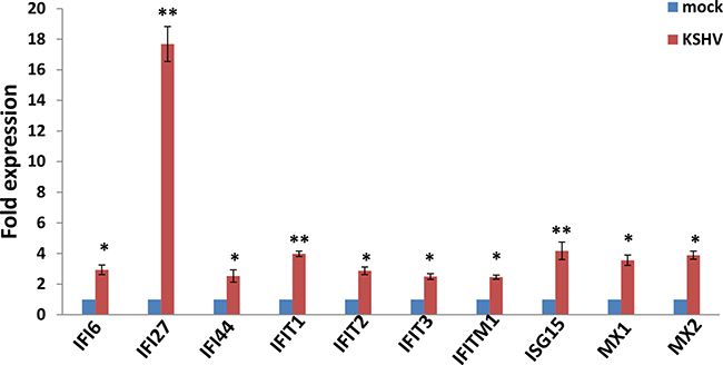 The up-regulation of interferon-induced genes from KSHV-infected SiHa cells.