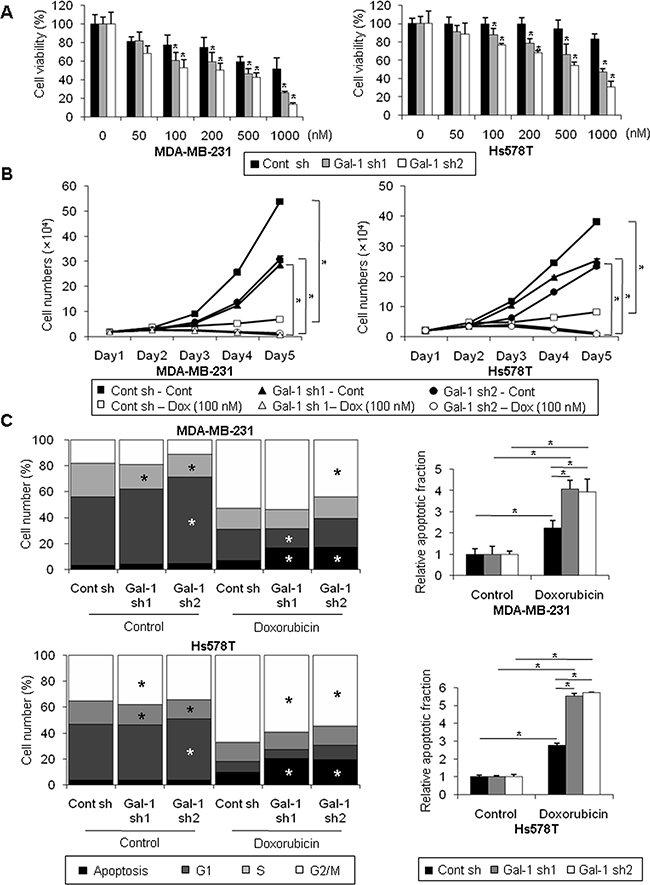 Silencing of galectin-1 decreases doxorubicin resistance of human breast cancer cells.