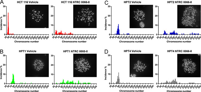 Karyotype analysis of HCT 116 diploid and post-tetraploid cells.